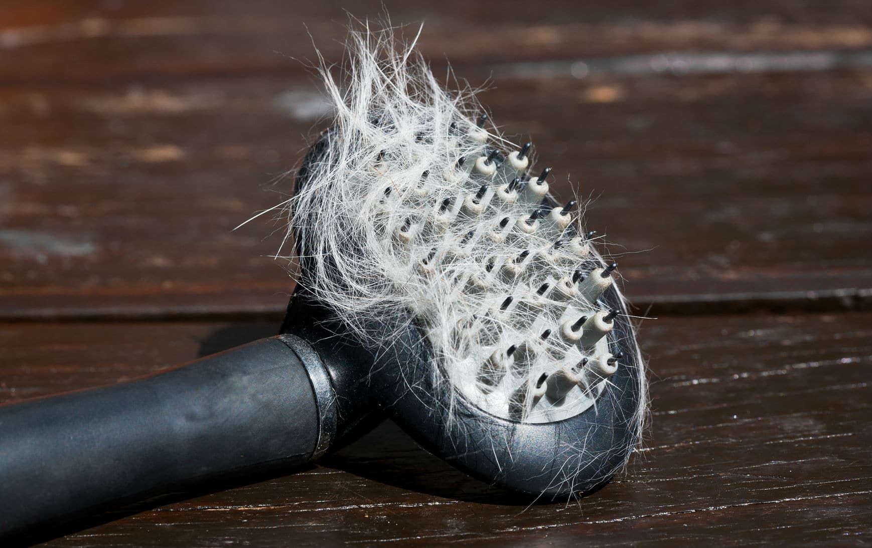 Wie Bekomme Ich Tierhaare Aus Der Wäsche » Wie entferne ich Tierhaare vom Hundesofa?